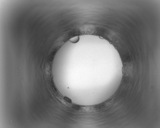 X0000066970713200604072030