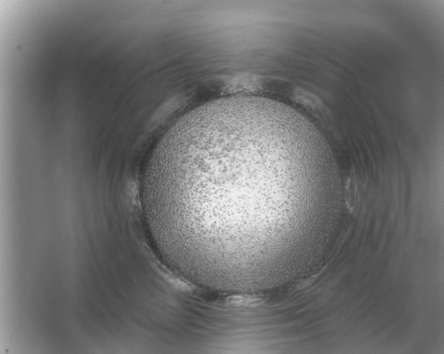 X0000066970714200604072030