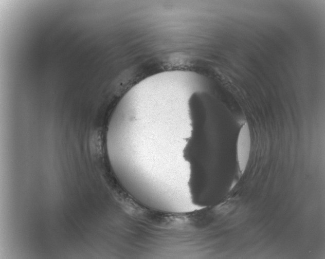 X0000066970715200604072030