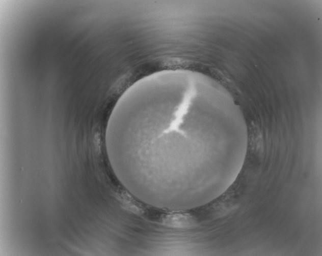 X0000066970716200604072030