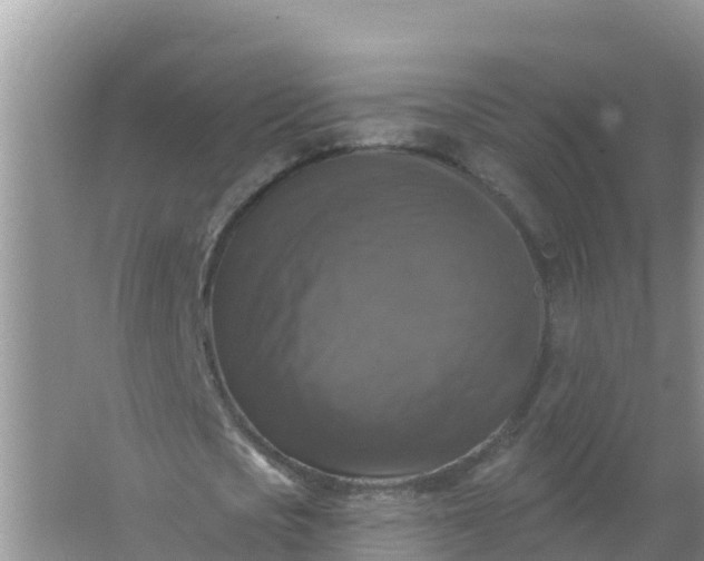 X0000066970721200604072029