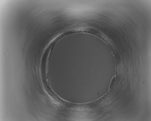 X0000066970722200604072029