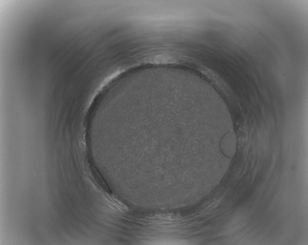 X0000066970727200604072029