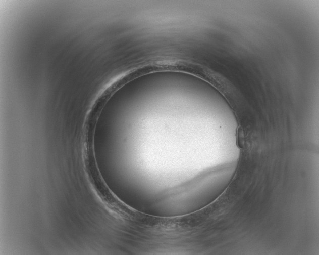 X0000066970728200604072029