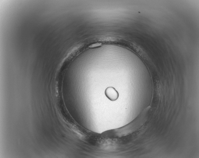 X0000066970731200604072029