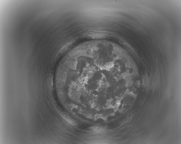 X0000066970733200604072030