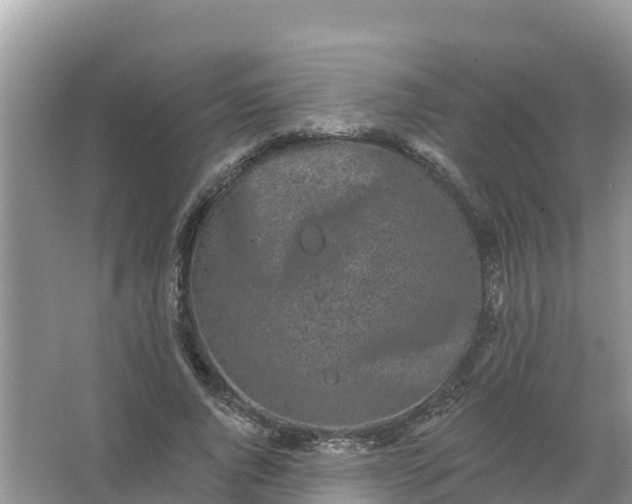 X0000066970736200604072030