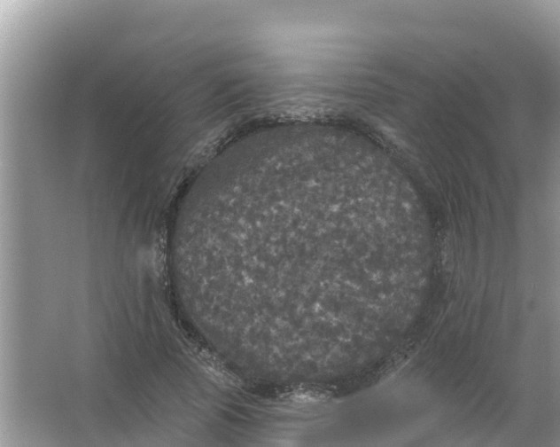 X0000066970737200604072030