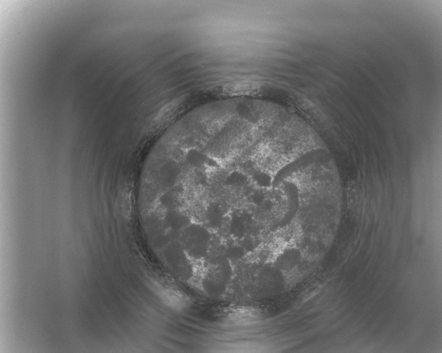 X0000066970741200604072030