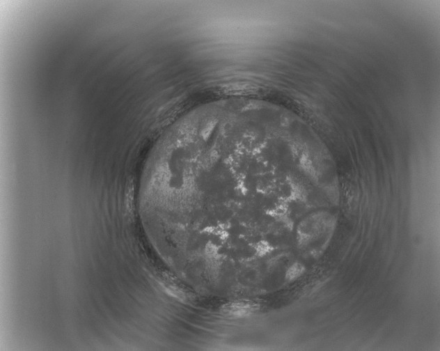 X0000066970745200604072030