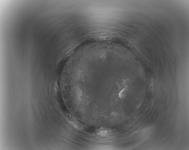 X0000066970746200604072030