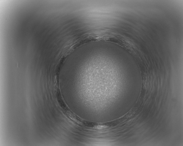 X0000066970748200604072030