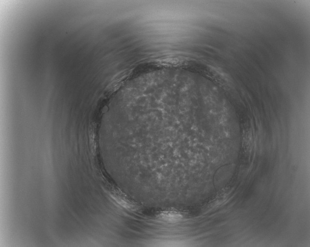 X0000066970749200604072030