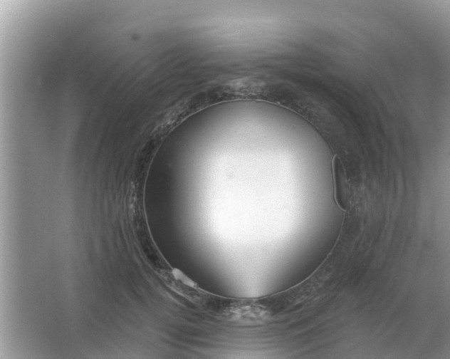 X0000066970752200604072030