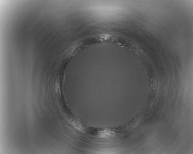 X0000066970754200604072030