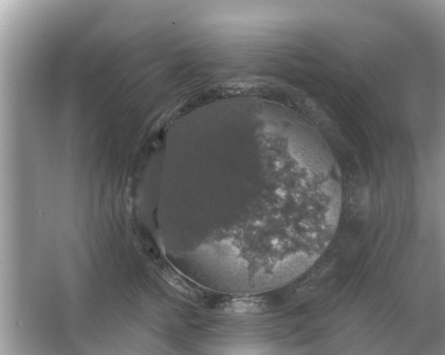 X0000066970758200604072030