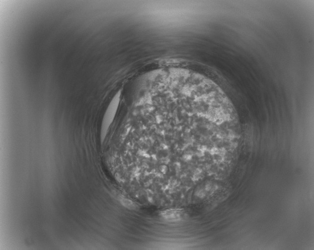 X0000066970761200604072030