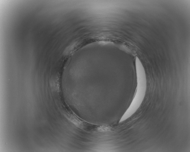 X0000066970762200604072030