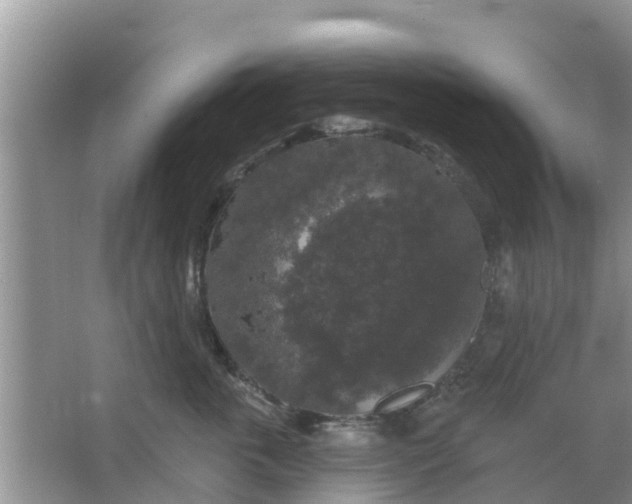 X0000066970763200604072030