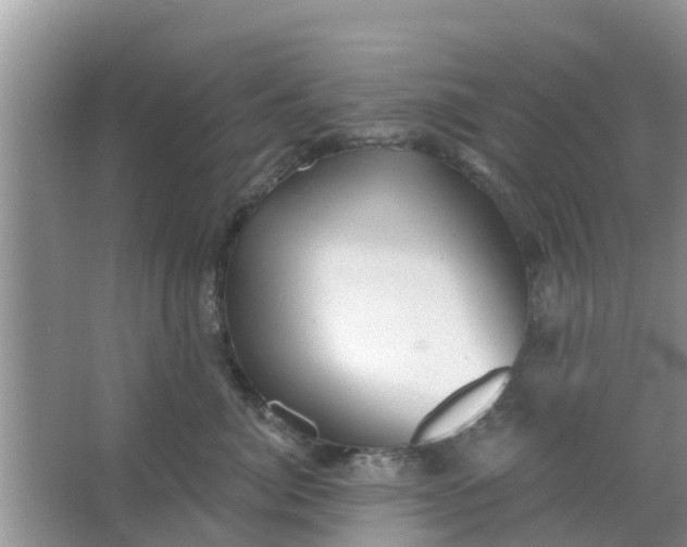 X0000066970764200604072030