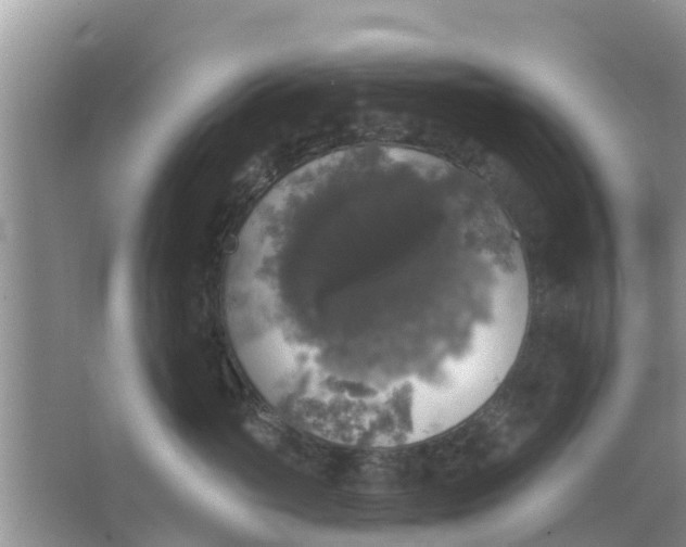 X0000066970765200604072030