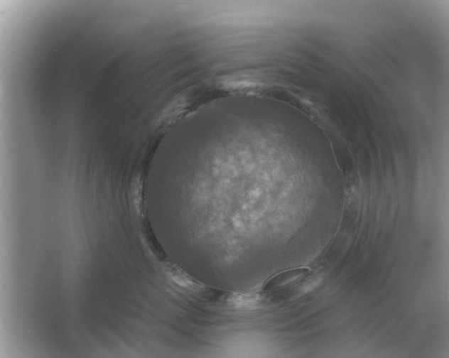 X0000066970767200604072030