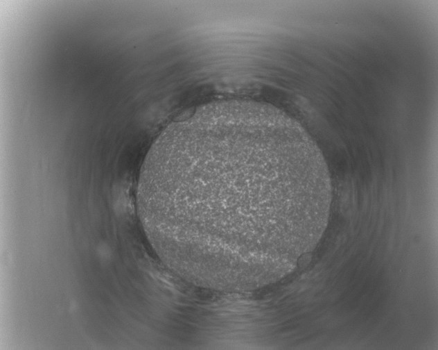 X0000066970770200604072029