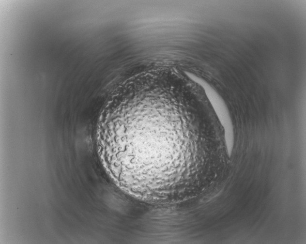 X0000066970771200604072029