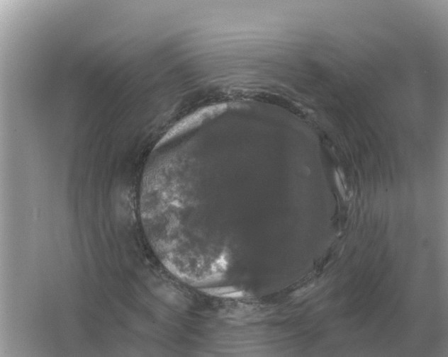 X0000066970772200604072029