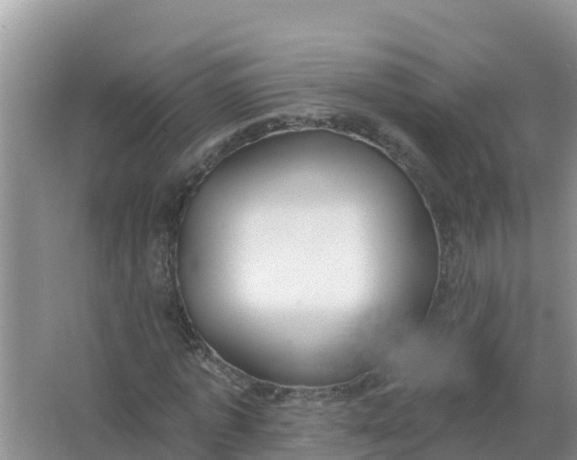 X0000066970773200604072029