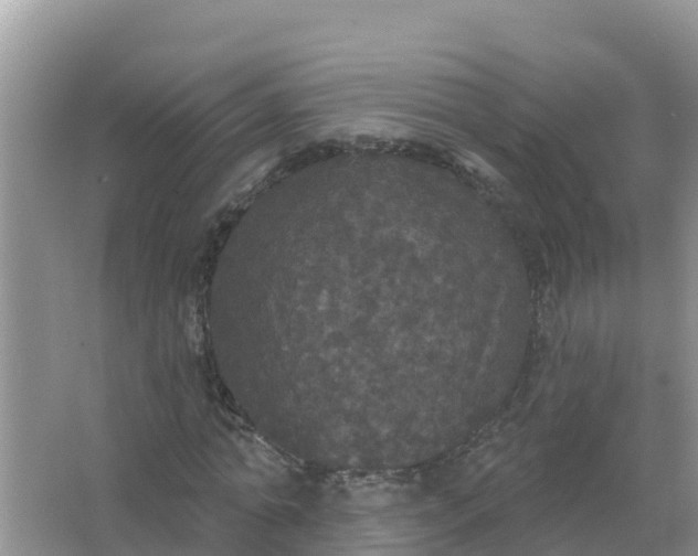 X0000066970774200604072029