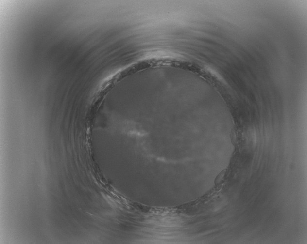 X0000066970775200604072029