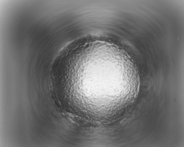 X0000066970776200604072029