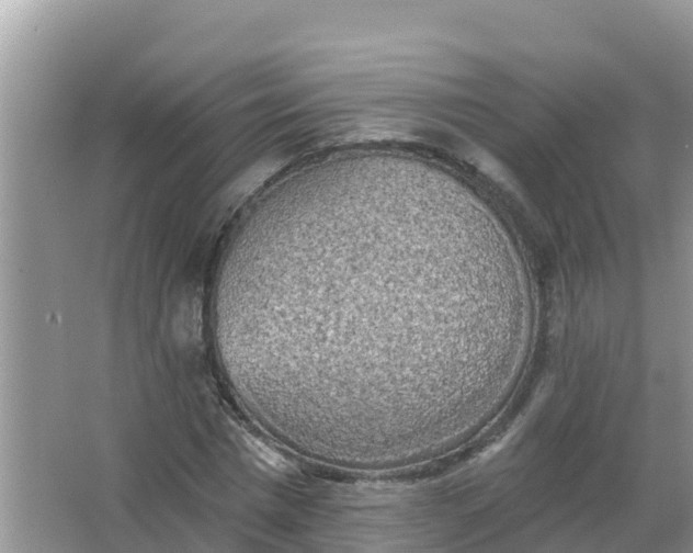 X0000066970777200604072029