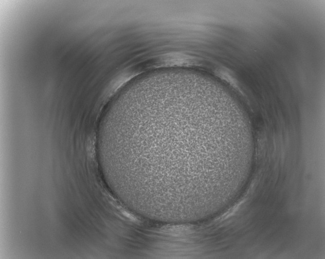 X0000066970778200604072029