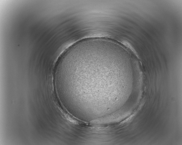 X0000066970781200604072029