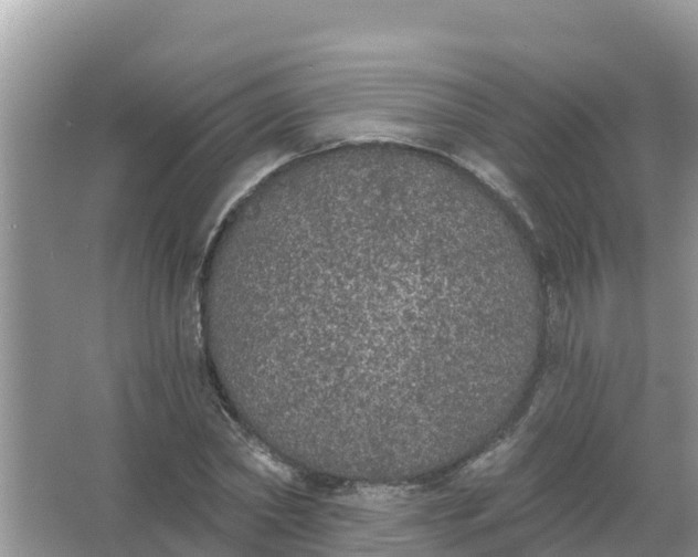 X0000066970782200604072029