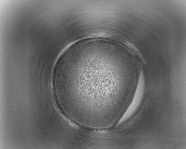 X0000066970784200604072029