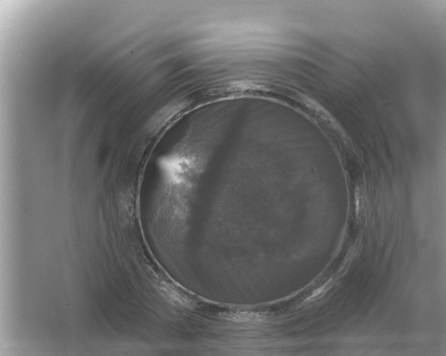 X0000066970785200604072029