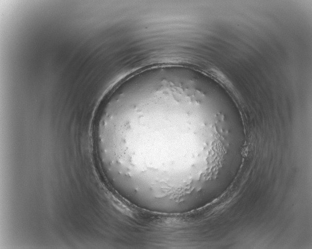 X0000066970787200604072029