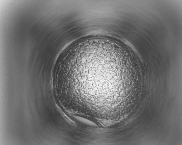 X0000066970791200604072029