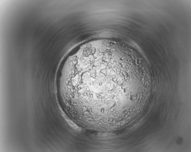 X0000066970795200604072029