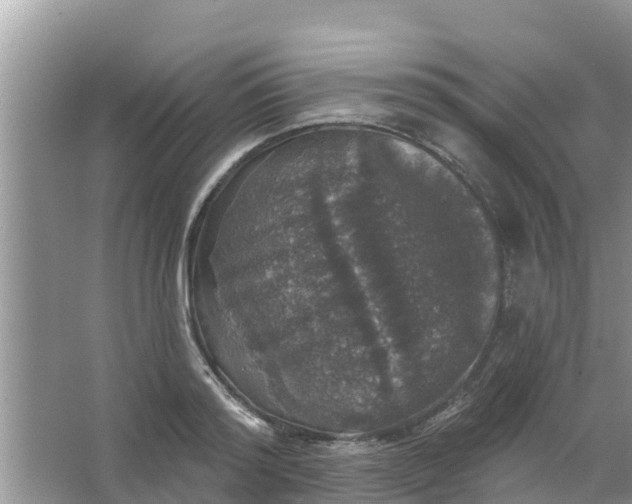 X0000066970796200604072029