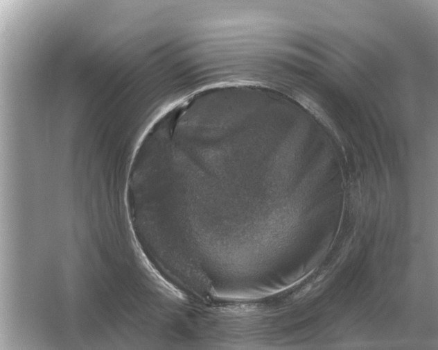 X0000066970797200604072029