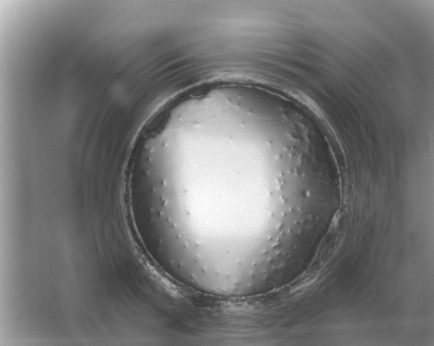 X0000066970799200604072029