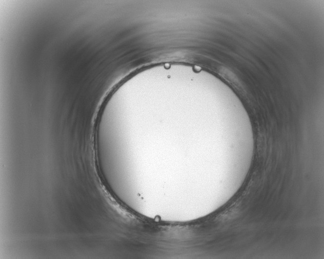 X0000066970800200604072029