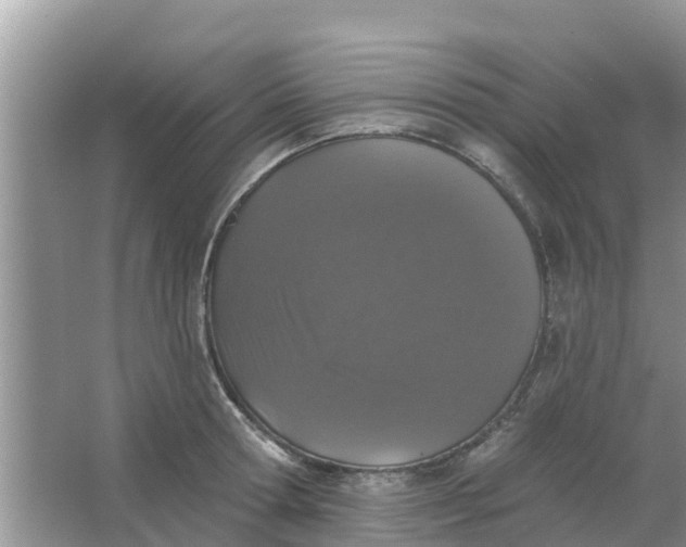 X0000066970802200604072029