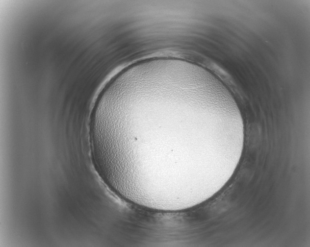 X0000066970808200604072029