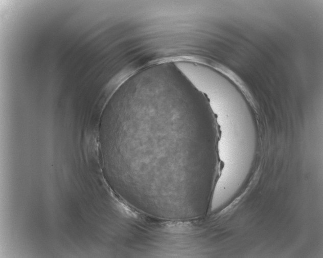 X0000066970809200604072029