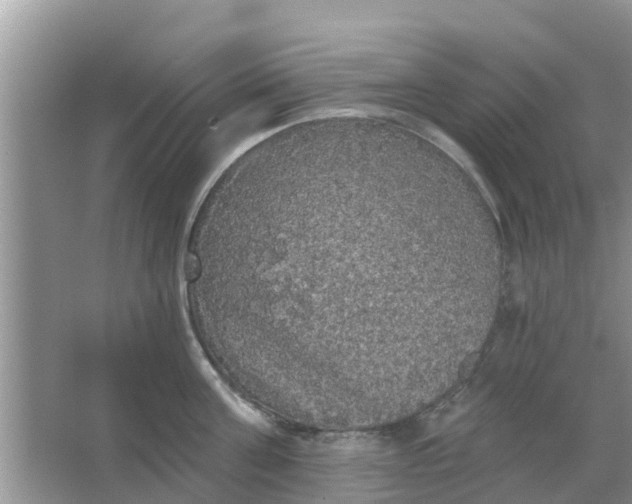 X0000066970811200604072029